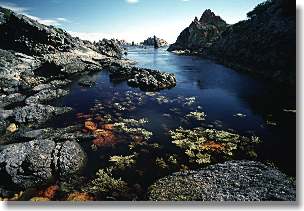 Gulch near Sloop Point
