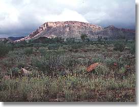 Macdonnell Ranges