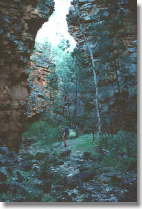 Hidden Gorge