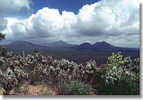 Stirling Range from northern border fire trail